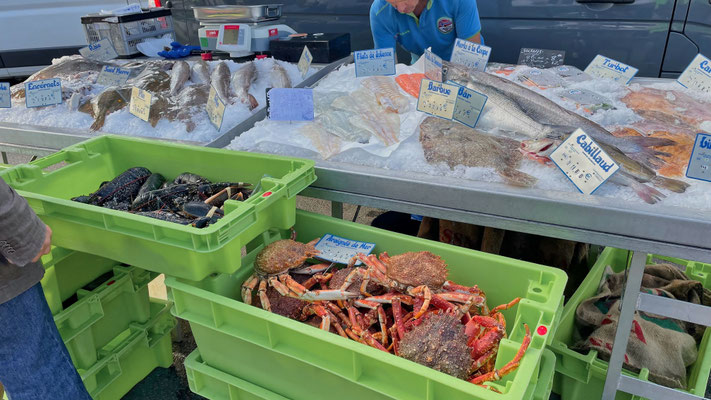 Szenen vom Markt in Audierne, Cap Sizun, Finistère, Bretagne