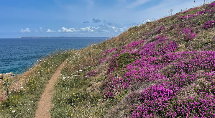 Küstenwanderweg GR34, Cap Sizun, Finistère, Bucht von Douarnenez, Zöllnerweg, Pors Péron zur Pointe du Millier, wandern, Heidelandschaft, Heideblüte