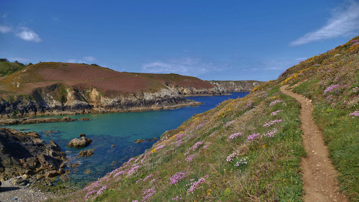 Cap Sizun, Küstenwanderweg, GR34, Naturparadies, Wandern mit Hund