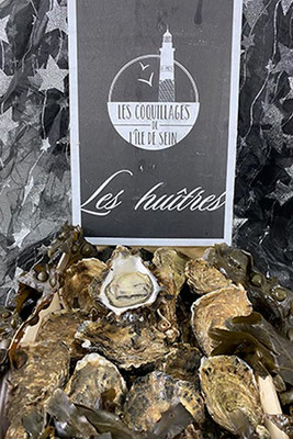 Poissonnerie Quéré, Plozévet, Bucht von Audierne, Fisch und Krusentiere, Alle Fotos © Poissonnerie Quéré 