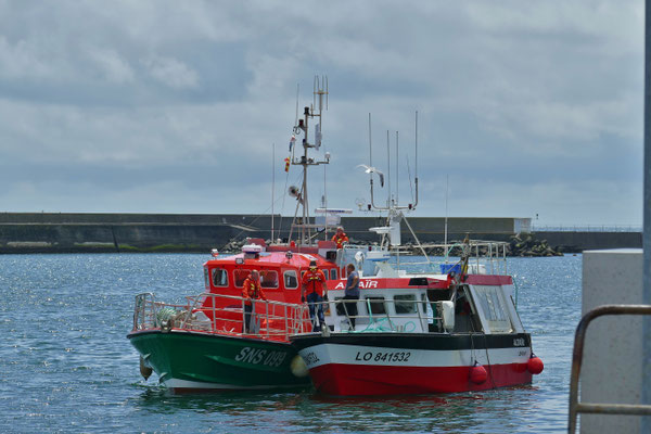 Fischereihafen Le Guilvinec, Fischerboote