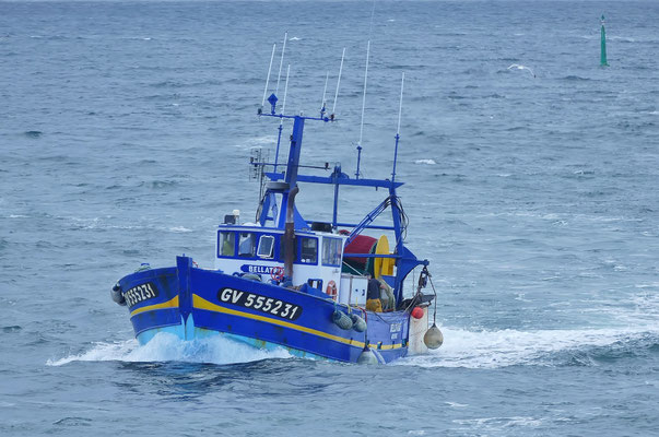 Ankunft der Fischerboote im Hafen von Le Guilvinec