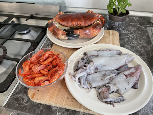 Meeresfrüchte in der Bretagne, Fisch und Krustentiere frisch vom Boot