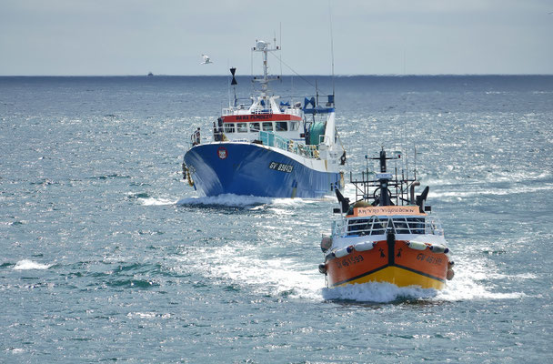 Das Einlaufen der Fischerboote in Le Guilvinec, Einlaufparade