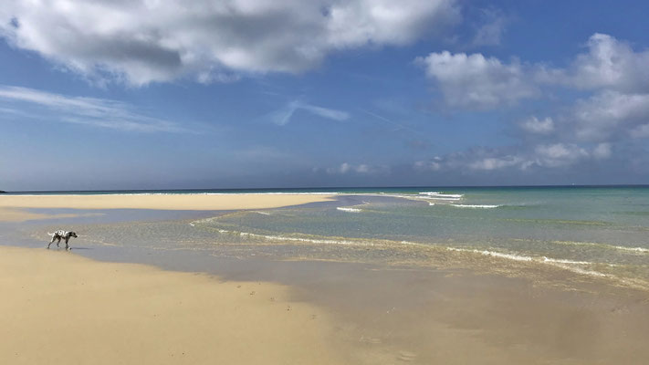Plouhinec, Traumurlaub mit Hund, Strand von Mesperleuc