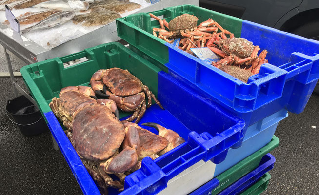 Szenen vom Markt in Audierne, Cap Sizun, Finistère, Bretagne