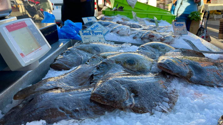 Markt in Audierne, Cap Sizun, Fisch