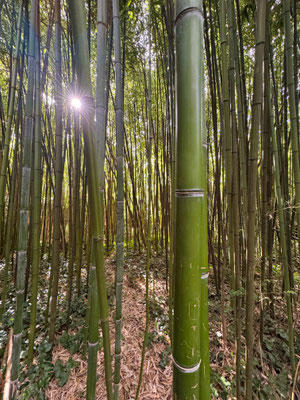 Ferienhaus Ker Armor, Ferienhaus Tal Ar Mor, Plouhinec, Bucht von Audierne, Cap Sizun, Meerblick, Hund willkommen, Ausflüge Douarnenez, Île Tristan