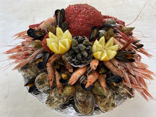 Poissonnerie Quéré, Plozévet, Bucht von Audierne, Fisch und Krusentiere, Alle Fotos © Poissonnerie Quéré 