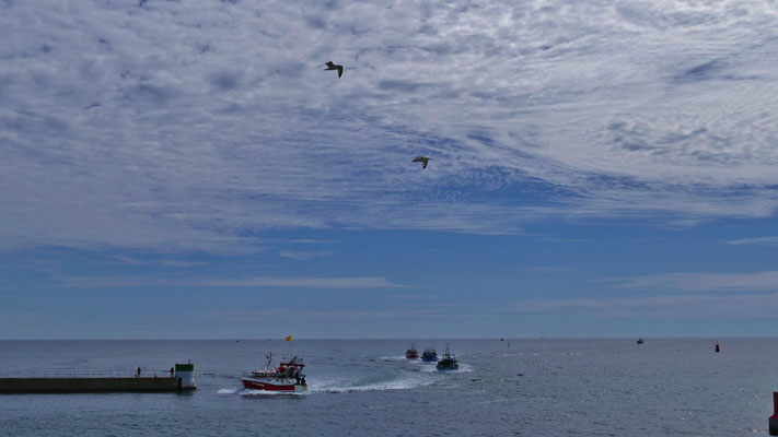 Das Einlaufen der Fischerboote in Le Guilvinec, Einlaufparade