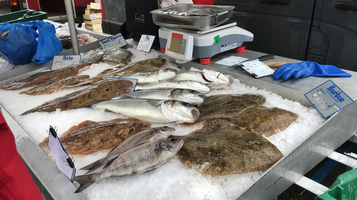 Szenen vom Markt in Audierne, Cap Sizun, Finistère, Bretagne
