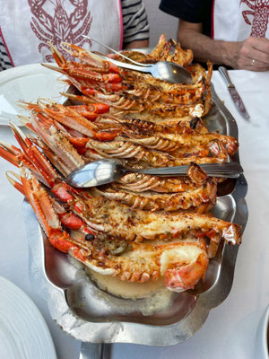 Restaurant L'Etrave Roma, Cléden-Cap Sizun, Kaisergranat gegrillt, Langustinen