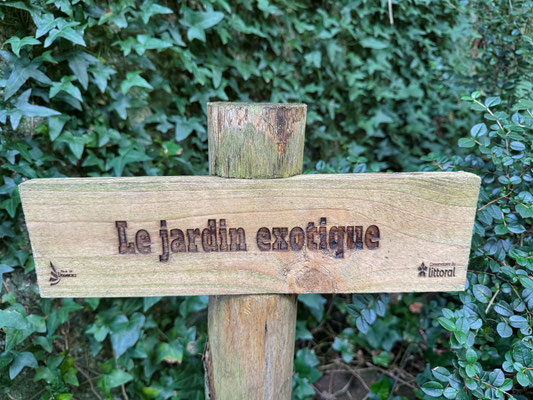 Île Tristan, Douarnenez, exotische Gärten