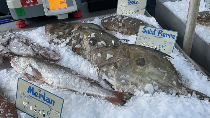 Meeresfrüchte in der Bretagne, Fisch und Krustentiere frisch vom Boot