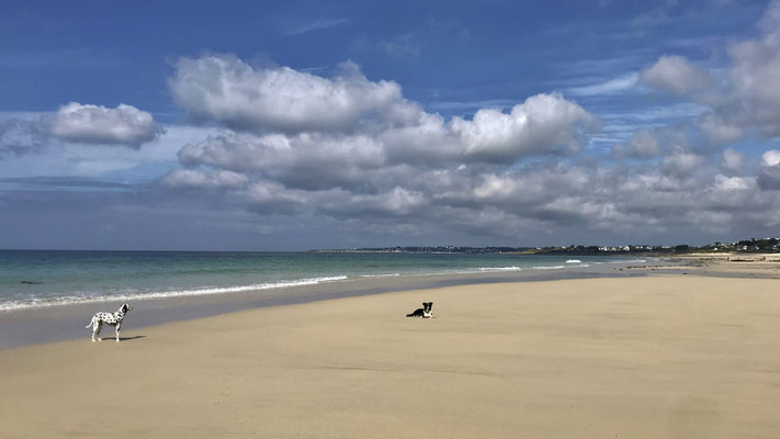 Cap Sizun, Traumstrände in der Bucht von Audierne, Urlaub mit Hund