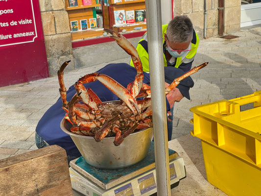 Szenen vom Markt in Audierne, Cap Sizun, Finistère, Bretagne