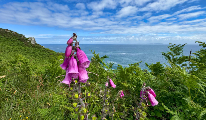 Cap Sizun, Pointe de Penharn, GR 34, Landschaft, Küstenwanderweg, Ausblicke