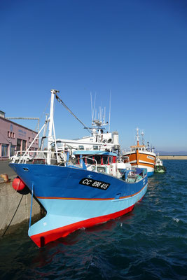 Douarnenez, Fischereihafen, große Trawler, frischer Fisch