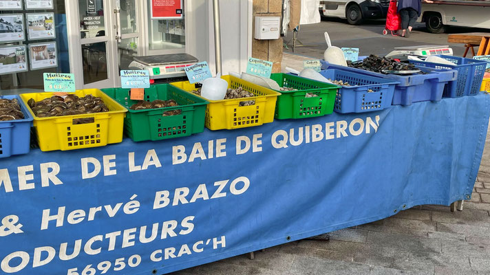 Markt in Audierne, Cap Sizun, Austern