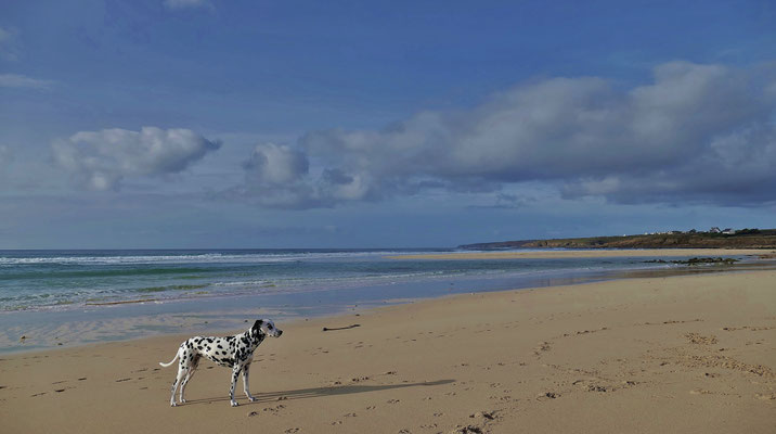 Cap Sizun, Bucht von Audierne, Hundeurlaub, hundefreundliche Ferienhäuser Ker Armor und Tal Ar Mor