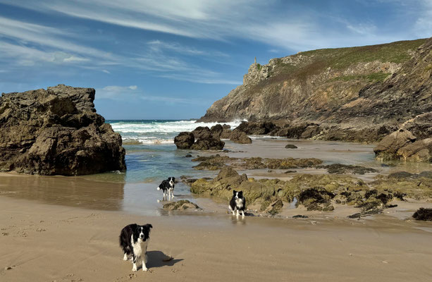 Hunde am Strand im Sommer in der Bretagne und Genuß in der Buvette in Pors Théolen