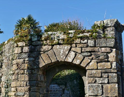 Landévennec, Aulne, Ruinen, alte Abtei, ancienne abbaye, Museum