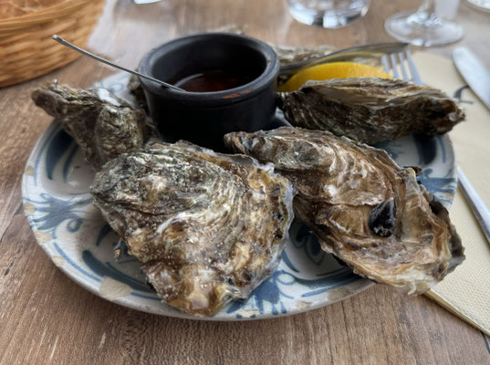 Meeresfrüchte in der Bretagne, Fisch und Krustentiere frisch vom Boot