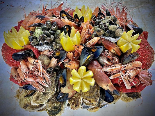 Poissonnerie Quéré, Plozévet, Bucht von Audierne, Fisch und Krusentiere, Alle Fotos © Poissonnerie Quéré 