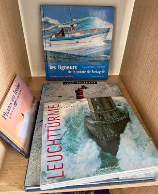 Umfangreiche Bretagnebibliothek im Lesezimmer von Ferienhaus Tal Ar Mor in Plouhinec