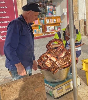 Szenen vom Markt in Audierne, Cap Sizun, Finistère, Bretagne