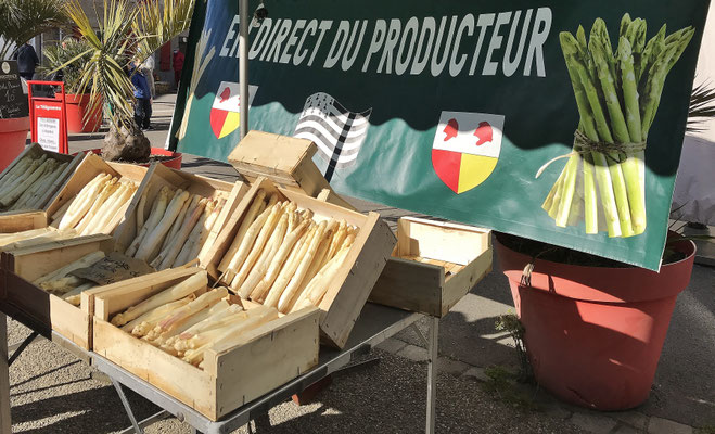 Markt am Donnerstag in Pont l' Abbé, Pays Bigouden, Bretagne
