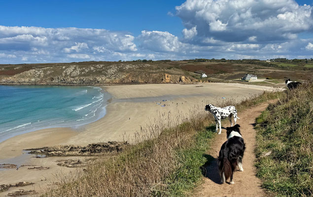 Wanderung Baie des Trépassés-Pointe du Raz