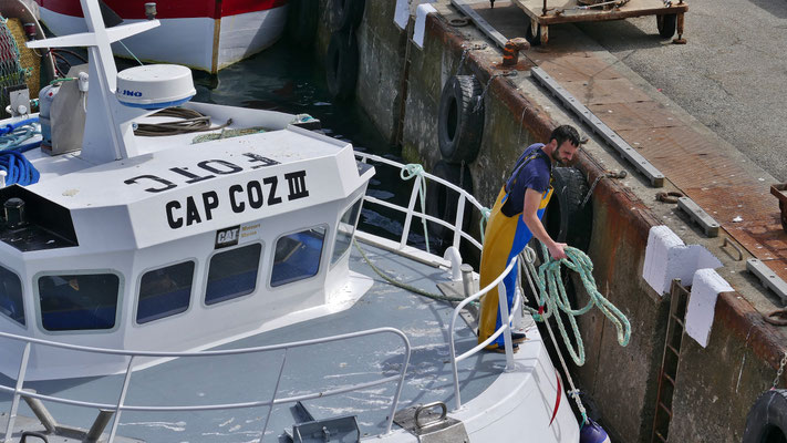 Das Einlaufen der Fischerboote in Le Guilvinec, Entladen des Fangs, Fischversteigerung, Criée
