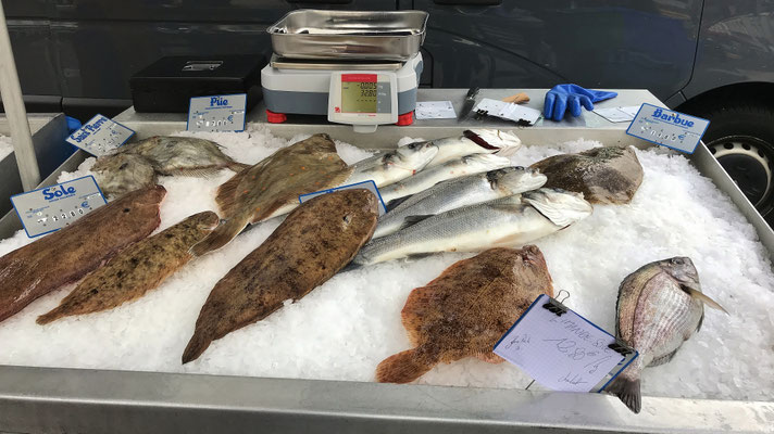 Szenen vom Markt in Audierne, Cap Sizun, Finistère, Bretagne
