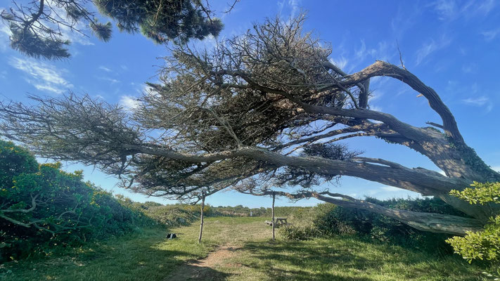 Ti Félix, Goulien, GR 34, Wandern, Rastplatz, Wanderhütte, Bucht von Douarnenez