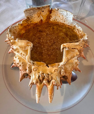 Restaurant L'Etrave Roma, Cléden-Cap Sizun, gefüllte Seespinne