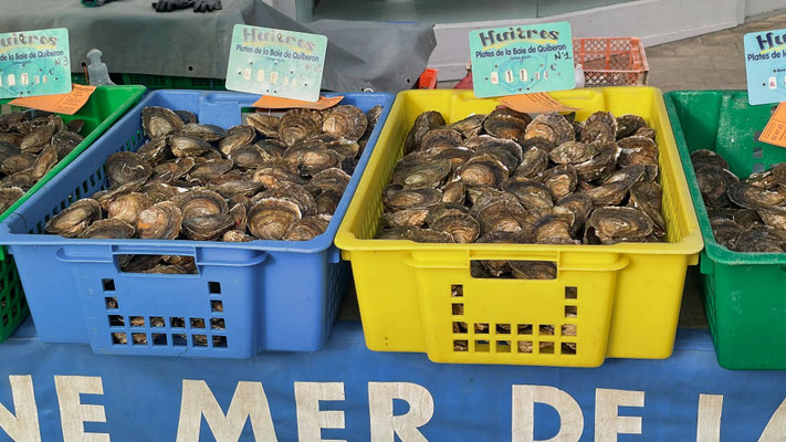 Markt in Audierne, Cap Sizun, Austern