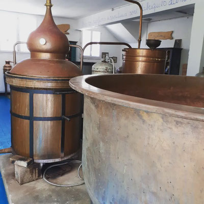 Distillerie Moby Dick, Plogoff, Foto Copyright Distillerie Moby Dick