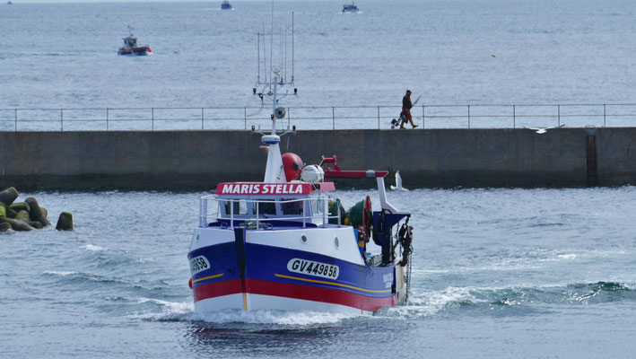 Das Einlaufen der Fischerboote in Le Guilvinec, Einlaufparade