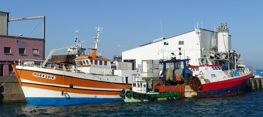 Douarnenez, Fischereihafen, große Trawler, frischer Fisch