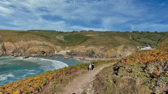 La Buvette de Pors Théolen, Cléden-Cap-Sizun, Café, Bar, am Atlantik, Bretagne