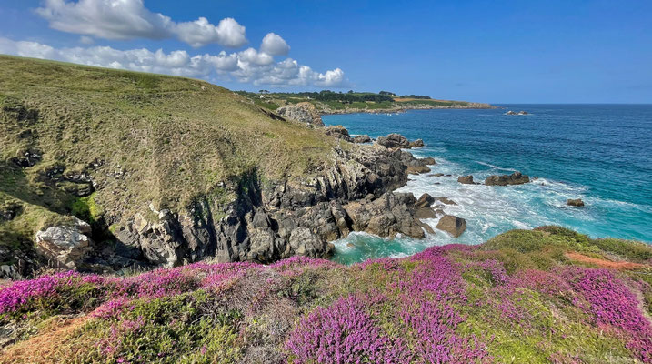 Küstenwanderweg GR34, Cap Sizun, Finistère, Bucht von Douarnenez, Zöllnerweg, Pors Péron zur Pointe du Millier, wandern, Heidelandschaft, Heideblüte