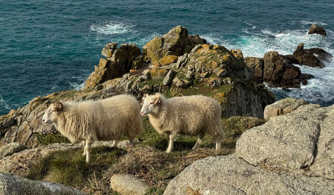 Wandern am Cap Sizun, Réserve du Cap Sizun