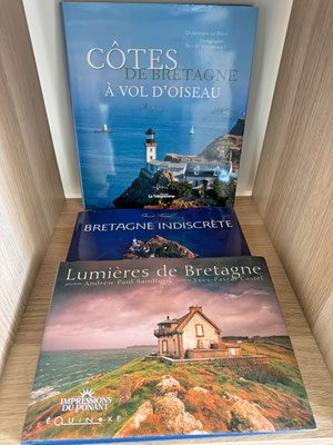 Umfangreiche Bretagnebibliothek im Lesezimmer von Ferienhaus Tal Ar Mor in Plouhinec