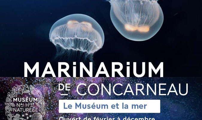 Concarneau, Festungsstadt, Finistère, Bretagne, Marinarium, Museum de la mer