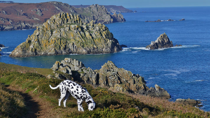 Cap Sizun, Goulien, Réserve du Cap Sizun, GR34, Küstenwanderweg