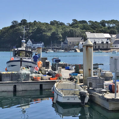 Audierne, Cap Sizun, Hafenbecken mit Fischerbooten