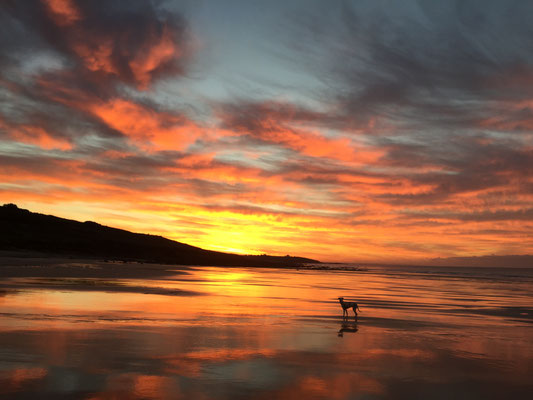 Morgenstimmung am Strand von Mesperleuc, Plouhinec, Ferienhaus Tal Ar Mor