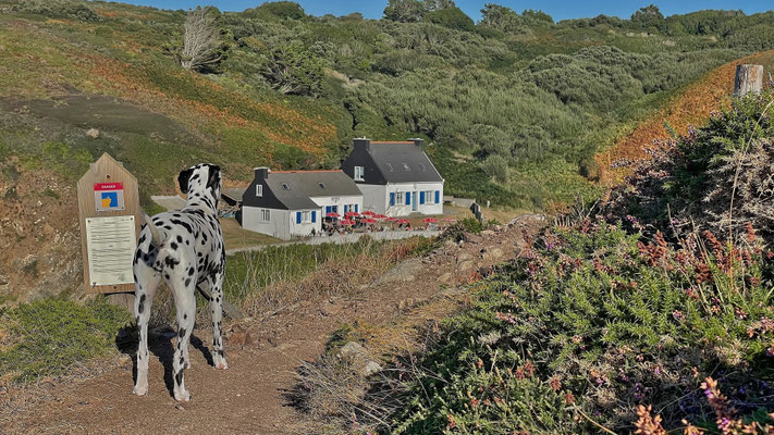 La Buvette de Pors Théolen, Cap Sizun, Bar-Café am Atlantik
