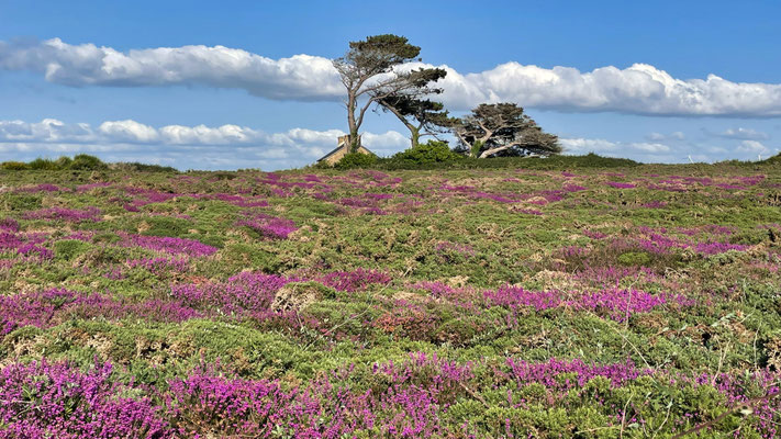 Ti Félix, Goulien, GR 34, Wandern, Rastplatz, Wanderhütte, Bucht von Douarnenez